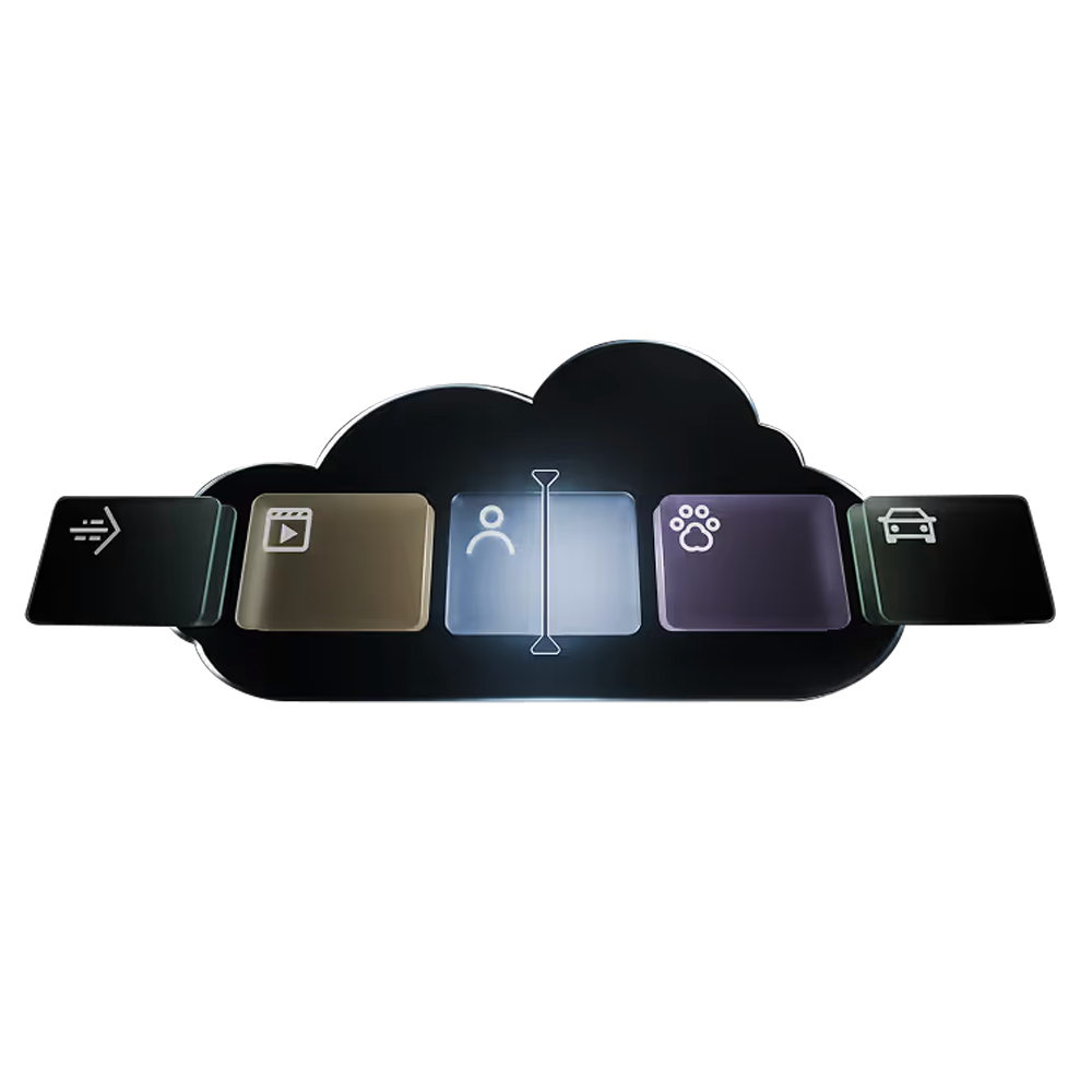 Ajax Cloud Standard - 1 Cam - 7 Day